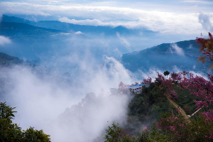 普洱茶區——無量山